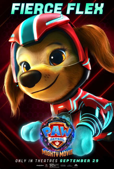 videos de paw patrol